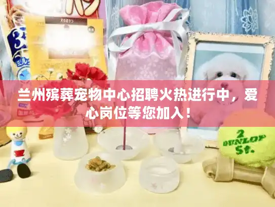兰州殡葬宠物中心招聘火热进行中，爱心岗位等您加入！