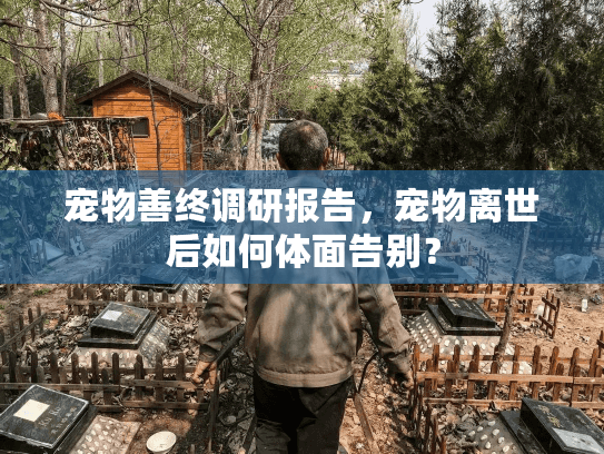 宠物善终调研报告,宠物离世后如何体面告别? 宠物善终调研报告,宠物离世后如何体面告别?
