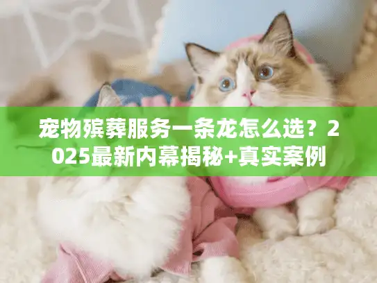 宠物殡葬服务一条龙怎么选?2025最新内幕揭秘+真实案例 宠物殡葬服务一条龙怎么选?2025最新内幕揭秘+真实案例