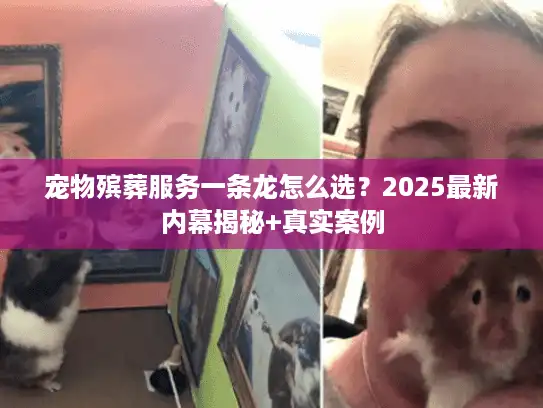 宠物殡葬服务一条龙怎么选?2025最新内幕揭秘+真实案例 宠物殡葬服务一条龙怎么选?2025最新内幕揭秘+真实案例
