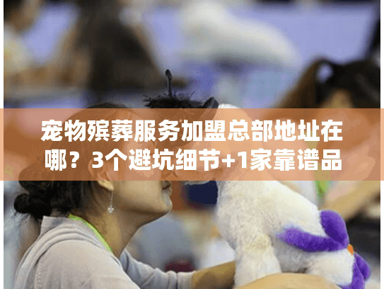 宠物殡葬服务加盟总部地址在哪？3个避坑细节+1家靠谱品牌实地探访