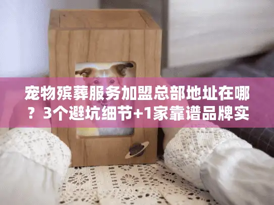 宠物殡葬服务加盟总部地址在哪？3个避坑细节+1家靠谱品牌实地探访