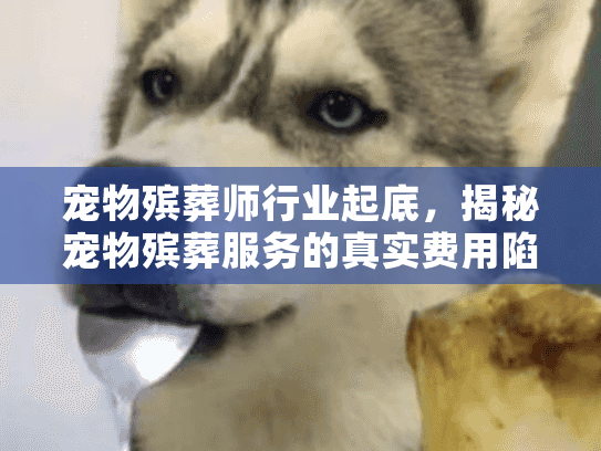 宠物殡葬师行业起底,揭秘宠物殡葬服务的真实费用陷阱 宠物殡葬师行业起底,揭秘宠物殡葬服务的真实费用陷阱