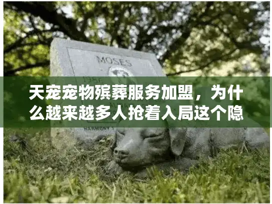 天宠宠物殡葬服务加盟，为什么越来越多人抢着入局这个隐形蓝海？