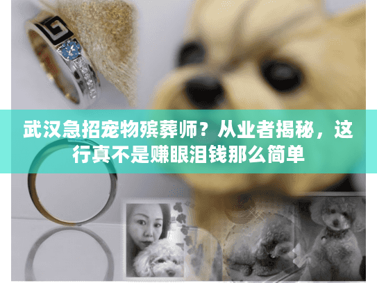 武汉急招宠物殡葬师？从业者揭秘，这行真不是赚眼泪钱那么简单