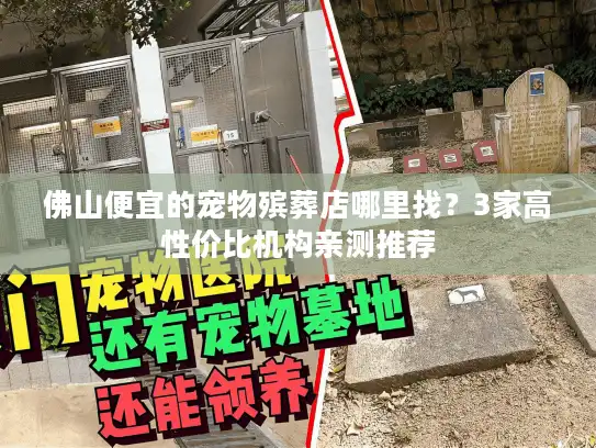 佛山便宜的宠物殡葬店哪里找？3家高性价比机构亲测推荐