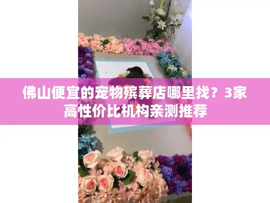 佛山便宜的宠物殡葬店哪里找？3家高性价比机构亲测推荐