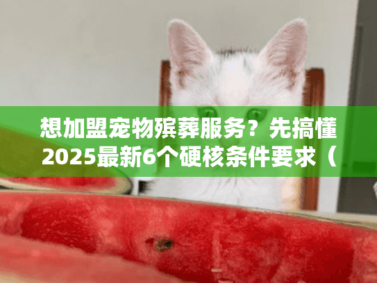 想加盟宠物殡葬服务？先搞懂2025最新6个硬核条件要求（稀缺干货）