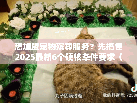 想加盟宠物殡葬服务？先搞懂2025最新6个硬核条件要求（稀缺干货）