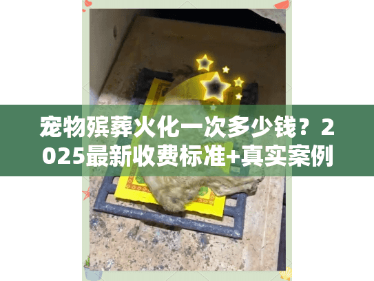 宠物殡葬火化一次多少钱？2025最新收费标准+真实案例揭秘