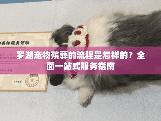 罗湖宠物殡葬的流程是怎样的？全面一站式服务指南