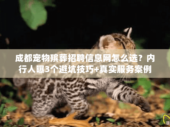 成都宠物殡葬招聘信息网怎么选?内行人曝3个避坑技巧+真实服务案例 成都宠物殡葬招聘信息网怎么选?内行人曝3个避坑技巧+真实服务案例