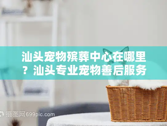 汕头宠物殡葬中心在哪里?汕头专业宠物善后服务机构位置指南 汕头宠物殡葬中心在哪里?汕头专业宠物善后服务机构位置指南