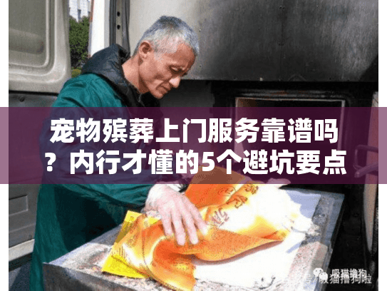 宠物殡葬上门服务靠谱吗？内行才懂的5个避坑要点+真实案例分享