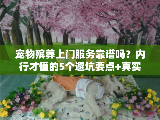宠物殡葬上门服务靠谱吗？内行才懂的5个避坑要点+真实案例分享