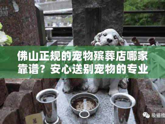 佛山正规的宠物殡葬店哪家靠谱？安心送别宠物的专业指南