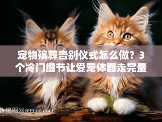 宠物殡葬告别仪式怎么做？3个冷门细节让爱宠体面走完最后一程