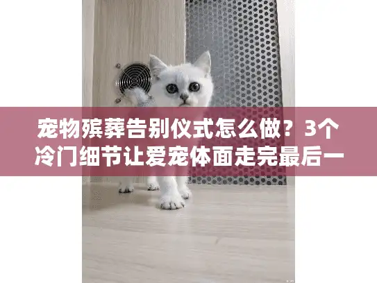 宠物殡葬告别仪式怎么做？3个冷门细节让爱宠体面走完最后一程