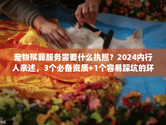 宠物殡葬服务需要什么执照?2024内行人亲述,3个必备资质+1个容易踩坑的环节 宠物殡葬服务需要什么执照?2024内行人亲述,3个必备资质+1个容易踩坑的环节
