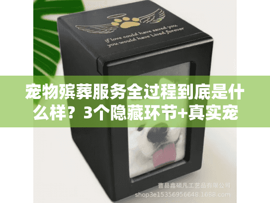 宠物殡葬服务全过程到底是什么样？3个隐藏环节+真实宠主经历分享
