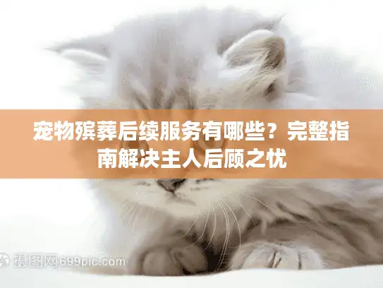 宠物殡葬后续服务有哪些？完整指南解决主人后顾之忧