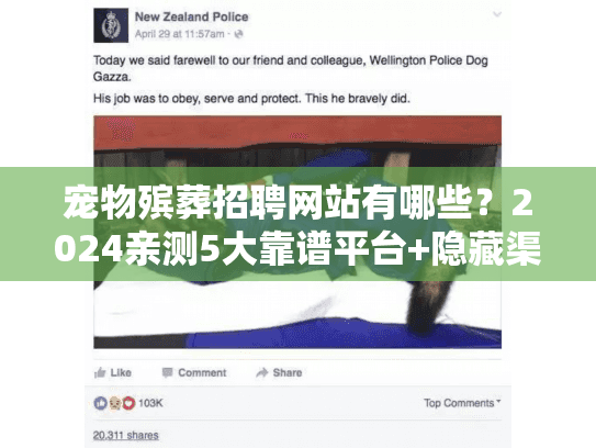 宠物殡葬招聘网站有哪些？2024亲测5大靠谱平台+隐藏渠道（附真实案例）