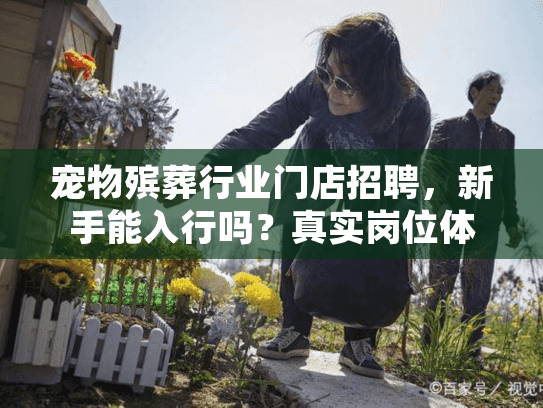 宠物殡葬行业门店招聘，新手能入行吗？真实岗位体验与技能要求大揭秘