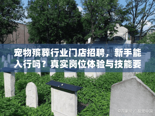 宠物殡葬行业门店招聘，新手能入行吗？真实岗位体验与技能要求大揭秘