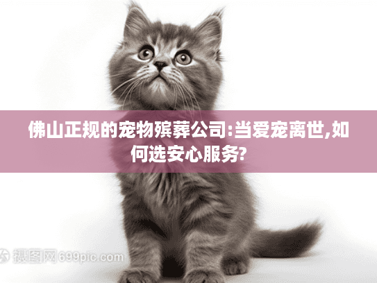 佛山正规的宠物殡葬公司:当爱宠离世,如何选安心服务? 佛山正规的宠物殡葬公司:当爱宠离世,如何选安心服务?