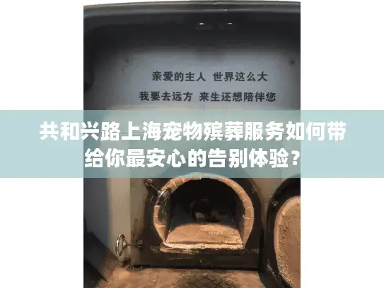 共和兴路上海宠物殡葬服务如何带给你最安心的告别体验？