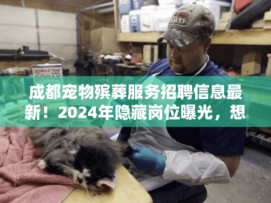 成都宠物殡葬服务招聘信息最新！2024年隐藏岗位曝光，想入行必看