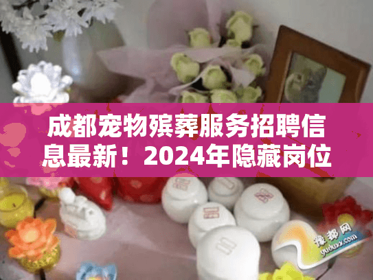 成都宠物殡葬服务招聘信息最新！2024年隐藏岗位曝光，想入行必看