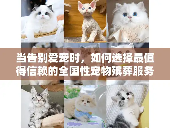 当告别爱宠时，如何选择最值得信赖的全国性宠物殡葬服务公司？