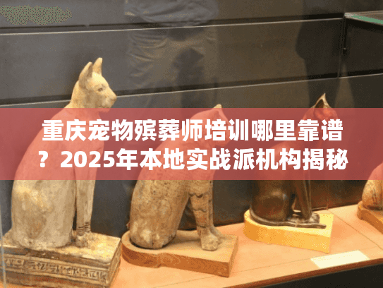 重庆宠物殡葬师培训哪里靠谱？2025年本地实战派机构揭秘