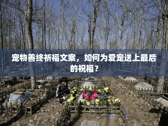 宠物善终祈福文案，如何为爱宠送上最后的祝福？