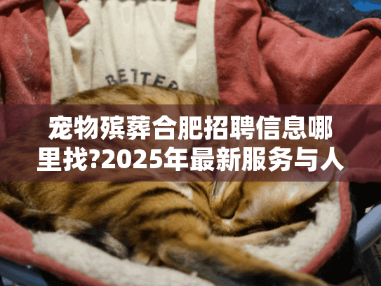 宠物殡葬合肥招聘信息哪里找?2025年最新服务与人才需求解析