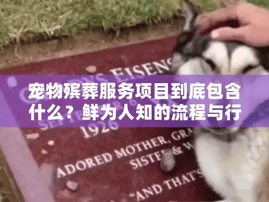 宠物殡葬服务项目到底包含什么？鲜为人知的流程与行业内幕大曝光！