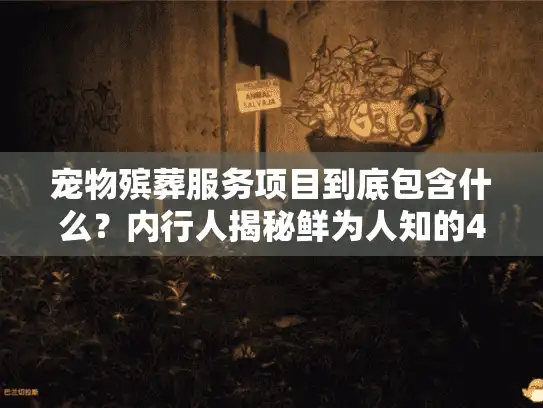宠物殡葬服务项目到底包含什么？内行人揭秘鲜为人知的4大核心+避坑要点