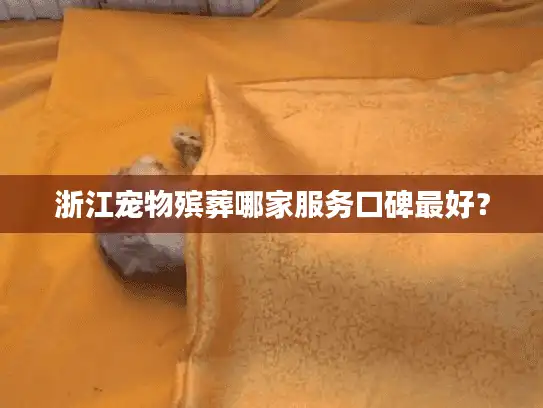 浙江宠物殡葬哪家服务口碑最好? 浙江宠物殡葬哪家服务口碑最好?