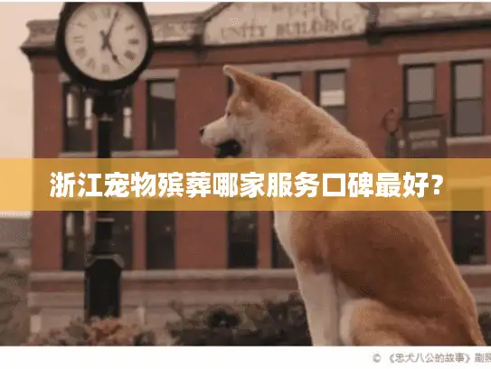 浙江宠物殡葬哪家服务口碑最好? 浙江宠物殡葬哪家服务口碑最好?
