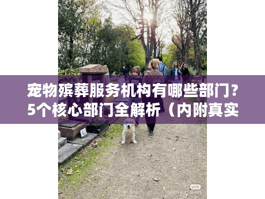 宠物殡葬服务机构有哪些部门？5个核心部门全解析（内附真实案例）