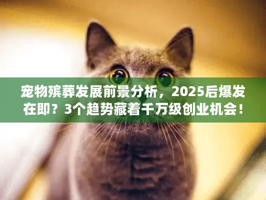 宠物殡葬发展前景分析，2025后爆发在即？3个趋势藏着千万级创业机会！