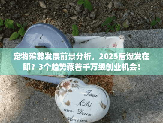 宠物殡葬发展前景分析，2025后爆发在即？3个趋势藏着千万级创业机会！