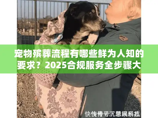 宠物殡葬流程有哪些鲜为人知的要求？2025合规服务全步骤大揭秘