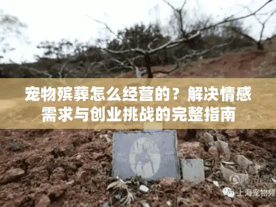宠物殡葬怎么经营的？解决情感需求与创业挑战的完整指南
