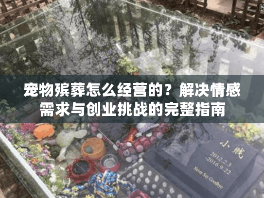 宠物殡葬怎么经营的？解决情感需求与创业挑战的完整指南