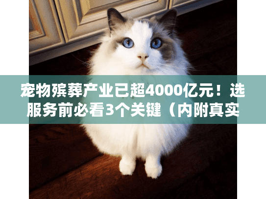 宠物殡葬产业已超4000亿元！选服务前必看3个关键（内附真实避坑案例）