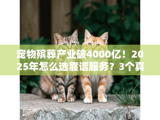 宠物殡葬产业破4000亿！2025年怎么选靠谱服务？3个真实故事告诉你门道