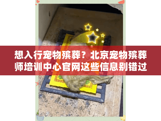 想入行宠物殡葬?北京宠物殡葬师培训中心官网这些信息别错过 想入行宠物殡葬?北京宠物殡葬师培训中心官网这些信息别错过