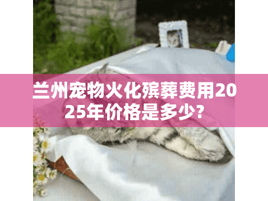 兰州宠物火化殡葬费用2025年价格是多少?
